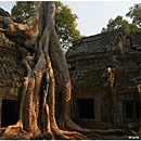 Ta Prohm, Angkor, Cambodia