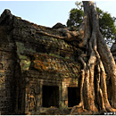 Ta Prohm, Angkor, Cambodia