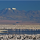 Laguna Chaxa, Atacama Desert, Chile