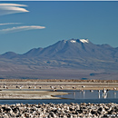 Laguna Chaxa, Atacama Desert, Chile