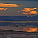 Laguna Chaxa, Atacama Desert, Chile