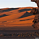 Pampa de Tara, Chilean Altiplano