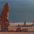 Pampa de Tara, Altiplano, Chile