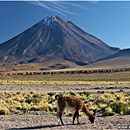 Volcn Licancabur, San Pedro de Atacama, Chile