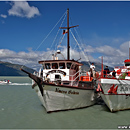 PN Bernardo O'Higgins, Puerto Natales, Patagonia, Chile