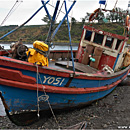 Puerto Hambre, Punta Arenas, Patagonia, Chile