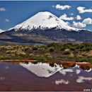 Lago Chungara y Volcan Parinacota, Lauca, Chile