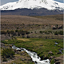 Volcán Guallatiri, Lauca, Chile