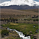 Volcn Guallatiri, Lauca, Chile