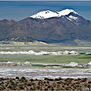 Salar de Surire, Norte Grande, Chile