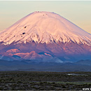 Volcn Parinacota Sunset, PN Lauca, Chile