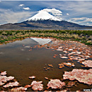 Lago Chungar y Volcn Parinacota, Lauca, Chile