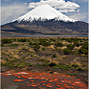 Volcn Parinacota, PN Lauca, Chile