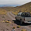 Off the beaten track @ Altiplano, Chile