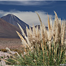 Rio Purifica, Atacama, Chile