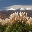 Rio Purifica, Atacama, Chile