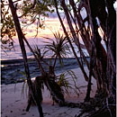 Sunrise at Beach No.5, Havelock Island, Andaman