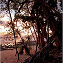 Sunrise at Beach No.5, Havelock Island, Andaman