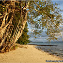 Early Morning at Beach No.5, Havelock Island, Andaman