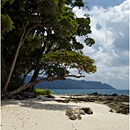 Beach No.7, Havelock Island, Andaman