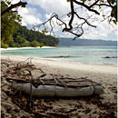 The Lagoon @ Beach No.7, Havelock Island, Andaman