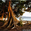 Sunset at Beach No.7, Havelock Island, Andaman