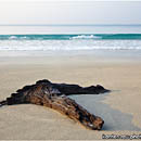 Beach No.7, Havelock Island, Andaman