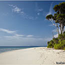 Neil Island, Andaman, India