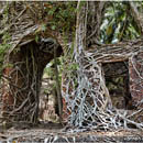 Ross Island, Andaman, India