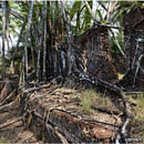 Ross Island, Andaman, India