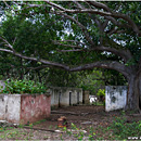 Old Lepra Station, Hanga Roa, Rapa Nui
