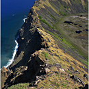 Rano Kau, Rapa Nui