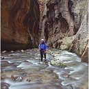 The Narrows, Zion NP, Utah, USA